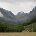 IMG_8335