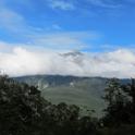 IMG_8478