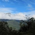 IMG_8479