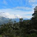 IMG_8481