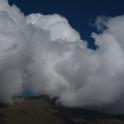 IMG_8562