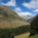 IMG_8746