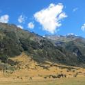 IMG_8720