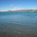 IMG_0468