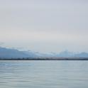 IMG_0547