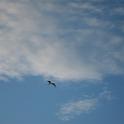 IMG_6949