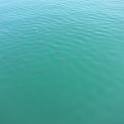 IMG_0178