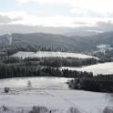 IMG_1617