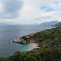 IMG_2010